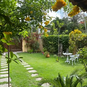  Casa de Férias Casa Tortuga
